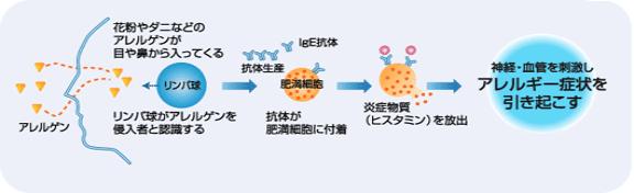 �A�����M�[�Ǐ�������N�������J�j�Y���}